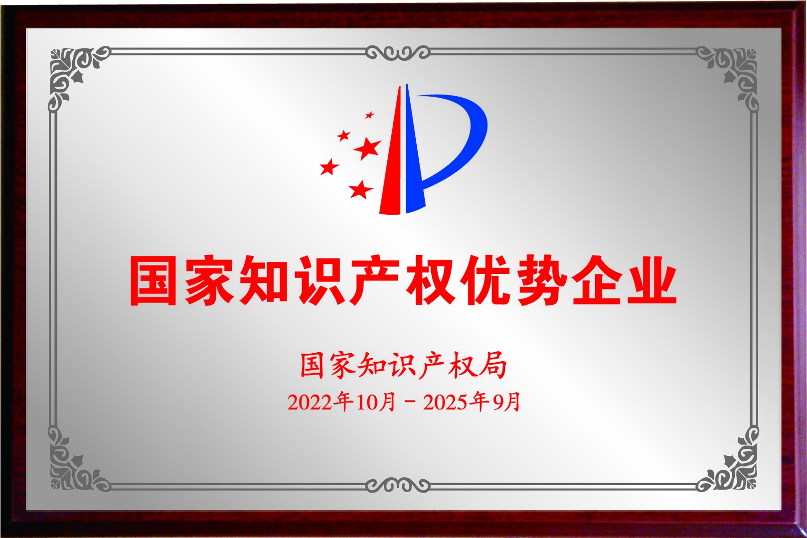国家知识产权优势企业