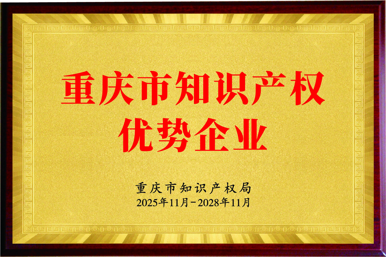 重庆市知识产权优势企业